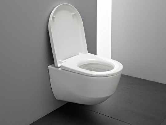 сиденье для унитаза laufen pro new universal 8.9695.1.300.000.1, с антибактериальным покрытием, softclose