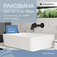 Раковина Aqueduto Espiral ESP0410 накладная, 50x37 см, белый глянцевый