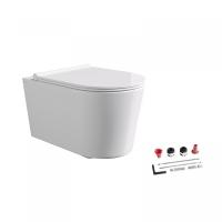 Унитаз Alice Form 22300109SET безободковый, с сиденьем микролифт, 50x35 см, белый матовый