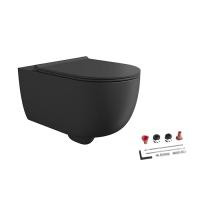 Подвесной унитаз Alice Unica 55 32240108SET безободковый, с сиденьем и крышкой с микролифтом, цвет черный матовый