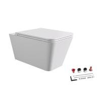 Подвесной унитаз Alice Hide Square 31210109SET безободковый, с сиденьем и крышкой с микролифтом, цвет белый матовый
