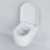 сиденье для унитаза ambassador abner 102t20001 с микролифтом
