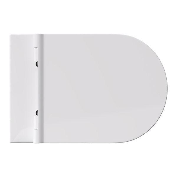 унитаз alice form 22300109set безободковый, с сиденьем микролифт, 50x35 см, белый матовый