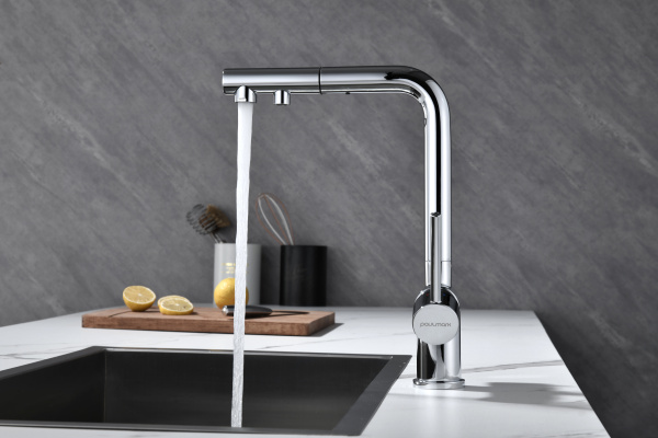смеситель для кухни с подключением к фильтру paulmark serpentine se213222-cr, цвет хром