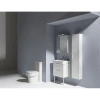 унитаз компакт laufen val 8.2428.1.000.000.1 rimless (безободковый)