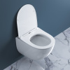 унитаз belbagno amanda bb051chr/bb051sc подвесной с сиденьем микролифт
