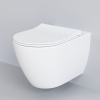 сиденье для унитаза ambassador queen 112t20101s с микролифтом