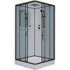 Душевая кабина Niagara Premium 90x90 NG-6901-01Q Black без гидромассажа