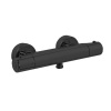 Смеситель для душа Fima Carlo Frattini Fimatherm F4215/1NS с термостатом, черный матовый