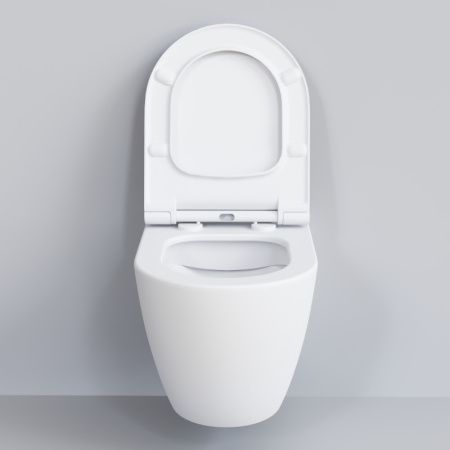 сиденье для унитаза ambassador queen 112t20101s с микролифтом