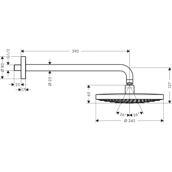 верхний душ hansgrohe raindance select s 240 2jet ecosmart 26470000