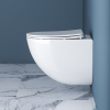 унитаз belbagno amanda bb051chr/bb051sc подвесной с сиденьем микролифт