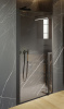 Душевая дверь в нишу Riho Lucid GD101 GD108B000(G005001121) 80×200 см, профиль черный, стекло прозрачное матовый
