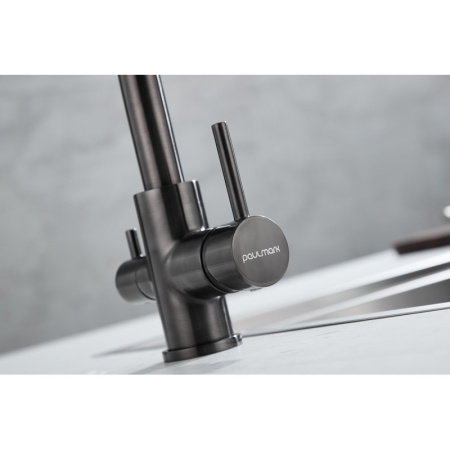 смеситель для кухни с фильтром paulmark essen es213011-gm + h851p00