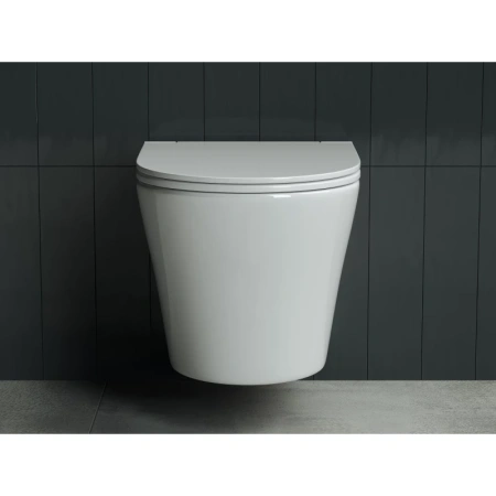 унитаз ceramicanova forma cn3011 подвесной, с сиденьем микролифт, белая