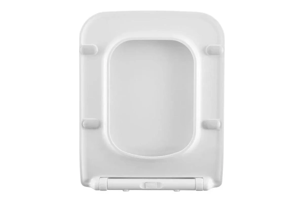 сиденье для унитаза allen brau 4.33008.21 liberty 2 soft-close дюропласт белый мат 00312471