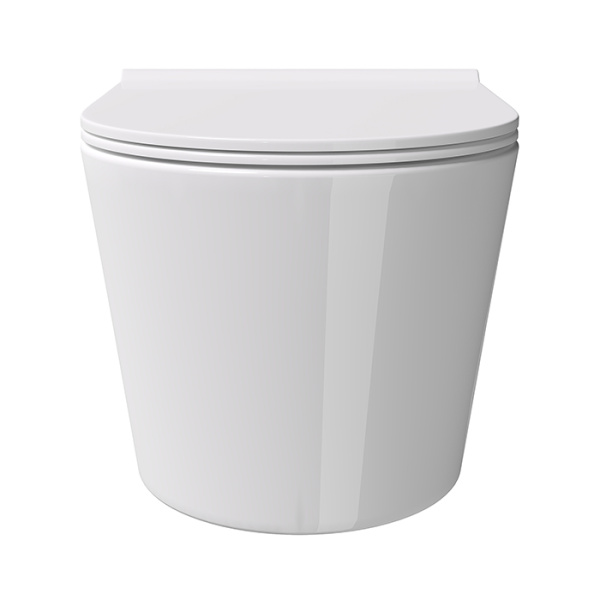 унитаз alice form 22300109set безободковый, с сиденьем микролифт, 50x35 см, белый матовый