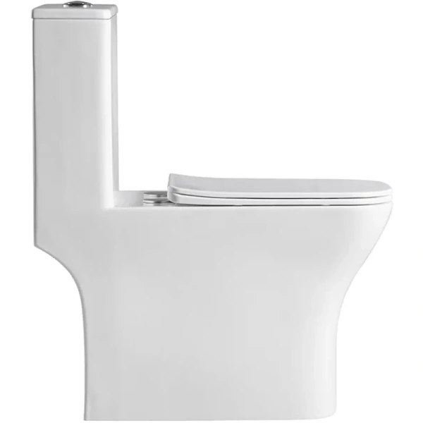 унитаз-моноблок belbagno neon bb8617cpr-mn/sc безободковый с сиденьем микролифт.