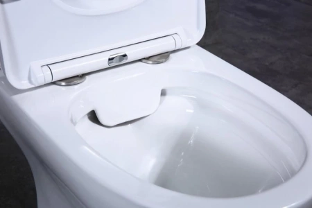 унитаз напольный belbagno steam bb130cpr без бачка и сиденья