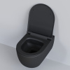 сиденье для унитаза ambassador abner 102t20201s с микролифтом