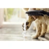 душевая лейка для собак hansgrohe dogshower 150 3jet 26640670