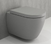 сиденье для унитаза bocchi taormina a0300-006 серая с микролифтом