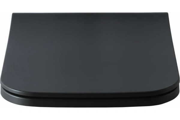 сиденье для унитаза allen brau infinity 2 soft-close 4.21014.31 00301332