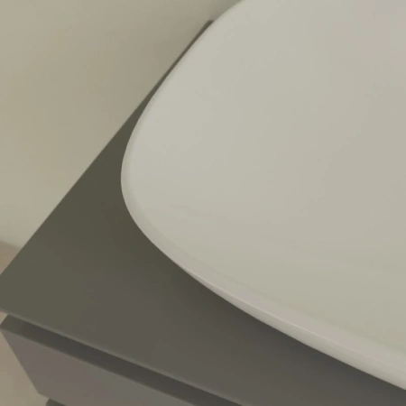 раковина villeroy & boch loop & friends 4a500001 накладная, 62x42 см, альпийский белый