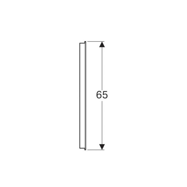 зеркало 100х65 см geberit option basic 500.584.00.1