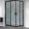 Душевой уголок Royal Bath HPD 100×80 RB8100HPD-C-BL профиль черный, стекло матовое