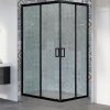 Душевой уголок Royal Bath HPD 120×90 RB9120HPD-C-BL профиль черный, стекло матовое