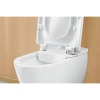 унитаз подвесной villeroy & boch viclean v0e1 00 r1 с функцией биде