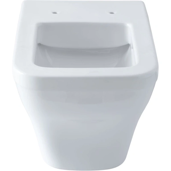 унитаз подвесной allen brau infinity 4.21011.20 безободковый, цвет белый