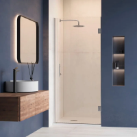 Душевая дверь в нишу RGW Hotel HO-011 800х1950 профиль хром, стекло прозрачное