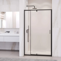 Душевая дверь в нишу RGW Passage PA-008B 100 см, профиль черный
