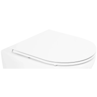 Сиденье для унитаза с микролифтом BelBagno Tre BB8001SC