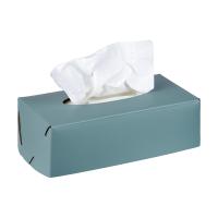 Салфетница Colombo Design Adj Kleenex BADJ016-5060 настольная, 23x12хh7,5 см, небесный|эвкалипт