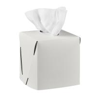 Салфетница Colombo Design Adj Kleenex BADJ015-1016 настольная, 12x12хh12 см, белый|панна котта
