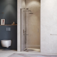 Душевая дверь в нишу RGW Hotel HO-014-Gg 1200х2000 профиль серый, стекло прозрачное