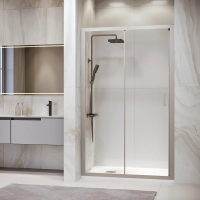 Душевая дверь в нишу RGW Passage PA-14 41081412-11 120х195, профиль хром
