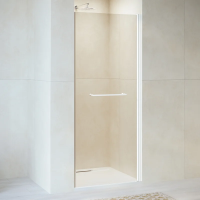 Душевая дверь в нишу RGW Passage PA-103-W 90 см, профиль белый, стекло прозрачное