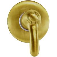 Смеситель для душа Webert Aurora AU880101065 цвет бронза