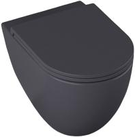 Унитаз подвесной Allen Brau Reality 4.32006.AN безободковый, без сиденья, цвет антрацит