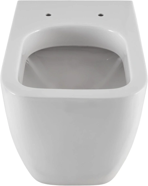 унитаз приставной allen brau infinity 4.21003.20 без сидения