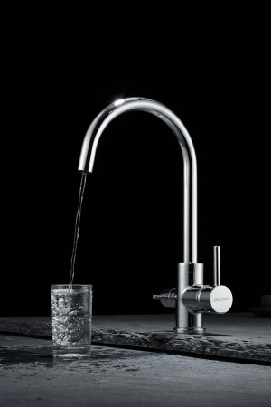 смеситель для кухни с фильтром paulmark essen es213211-cr + h851p00