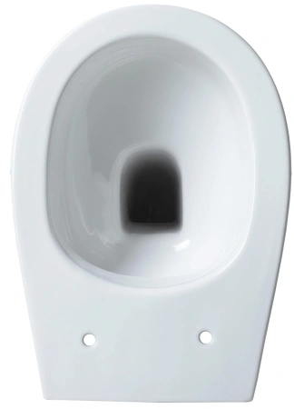 унитаз приставной allen brau fantasy 4.11007.20 без сидения