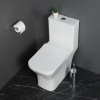 унитаз-моноблок belbagno neon bb8617cpr-mn/sc безободковый с сиденьем микролифт.