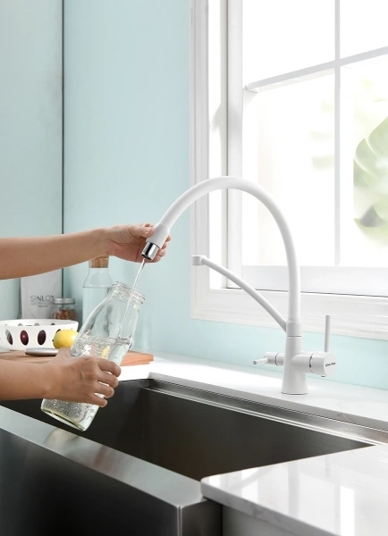смеситель для кухни с фильтром paulmark siegen si213111-431tw + h851p00