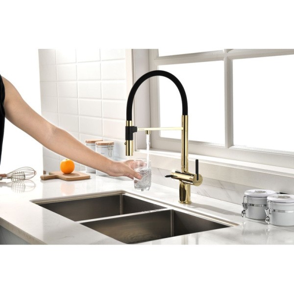 смеситель для кухни с подключением к фильтру paulmark gravity gr213188-g золото/ черный
