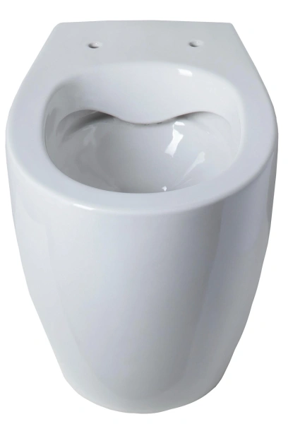 унитаз приставной allen brau fantasy 4.11007.20 без сидения